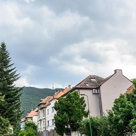 Hillside Near Center Brașov
