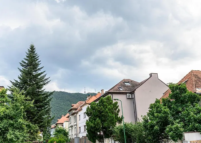 Hillside Near Center Brasov